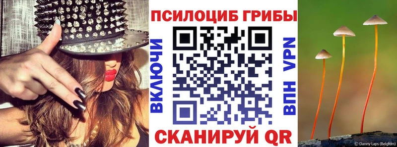 купить  сайты  Алагир  Галлюциногенные грибы ЛСД 